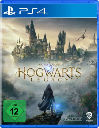Picture of PS4 Hogwarts Legacy - EUR SPECS